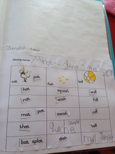 Cat in the Hat Rhyming worksheet